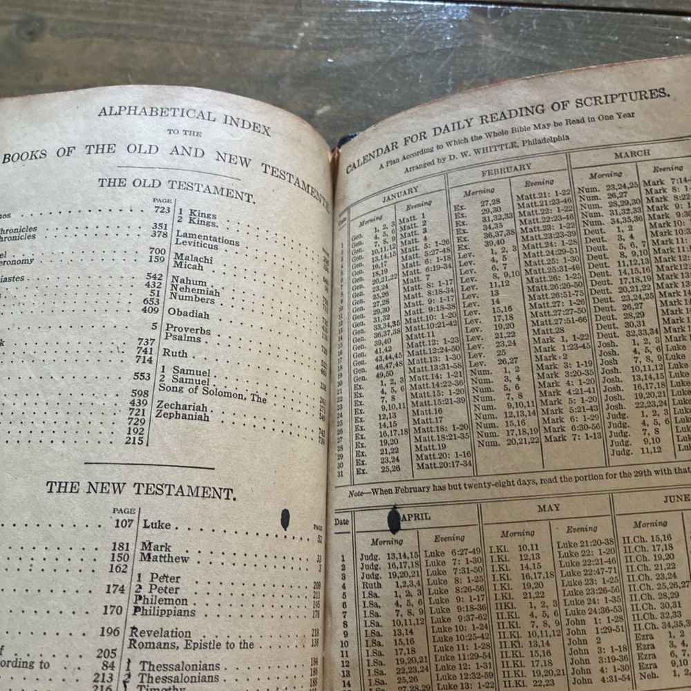 Holy Bible Containing The Old And New Testaments Translated From Original Tongue - Picture 14 of 16